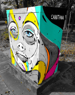 Utility Box:  Face Magic