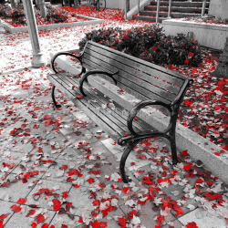 Fall Bench