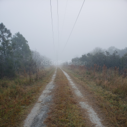 Powerline Road