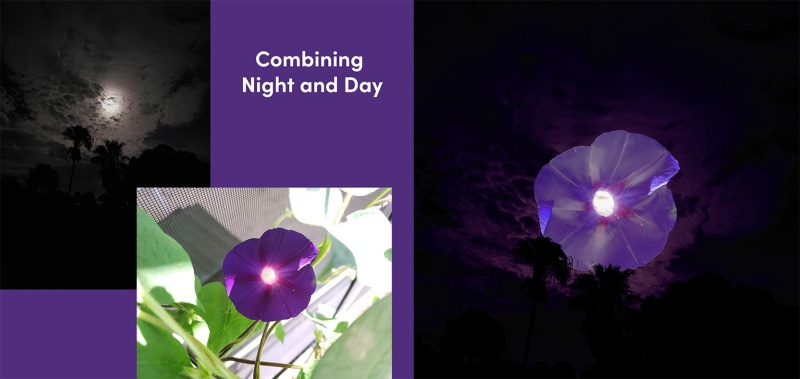 Night and Day Composition